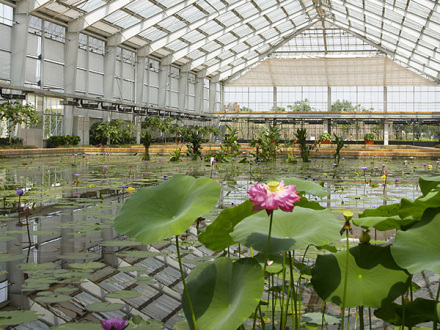 嘉茂国际花鸟园