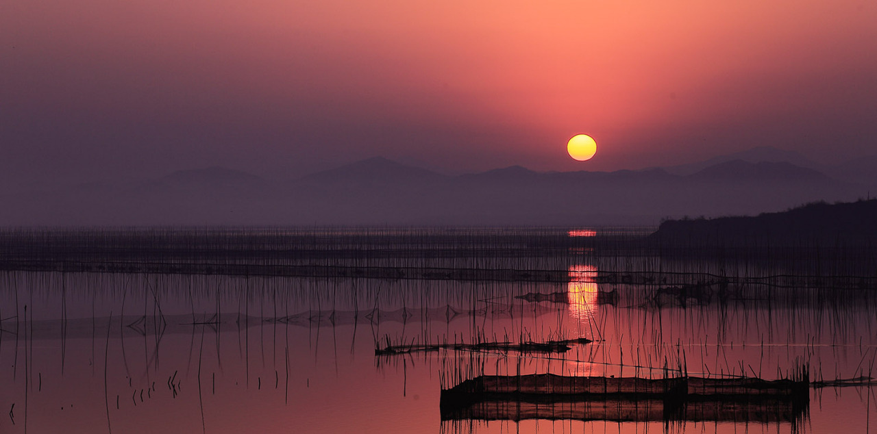 夕阳下的升金湖