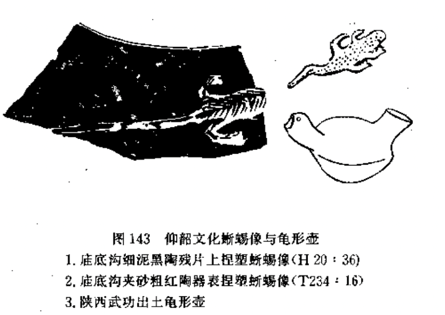 仰韶文化中的蜥蜴像与龟形壶