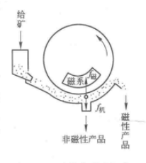 矿粒在磁选机中分离的示意图