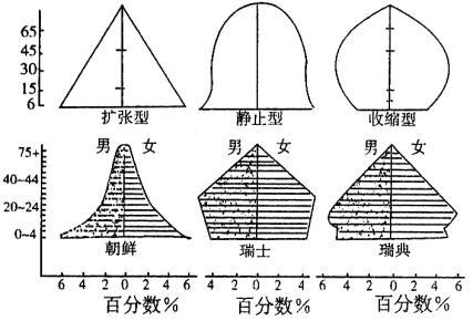 人口年龄结构