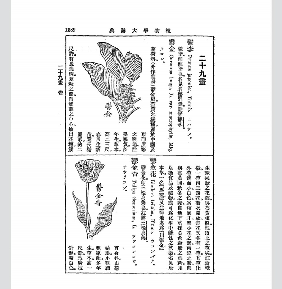 《植物学大词典》书影 