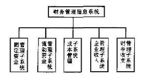 财务信息