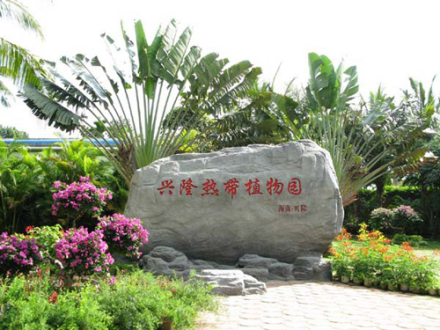 兴隆热带植物园