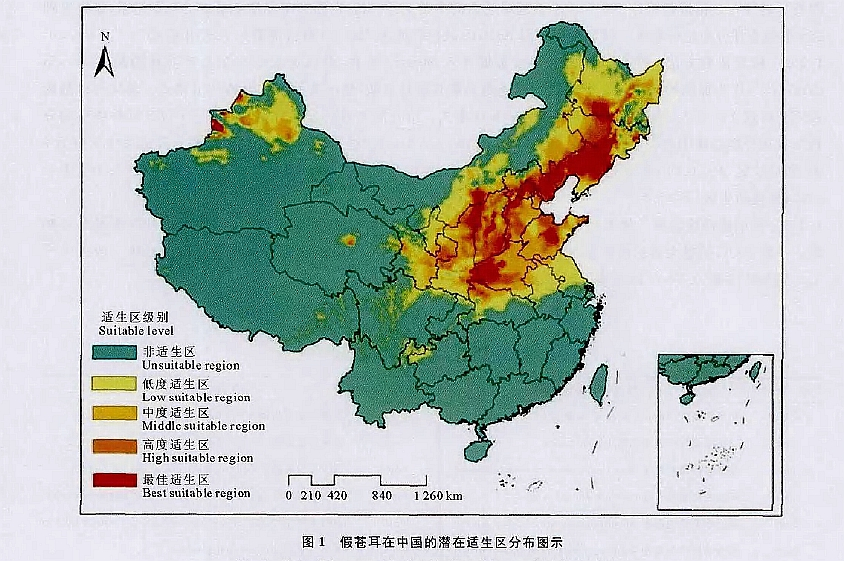 假苍耳分布范围