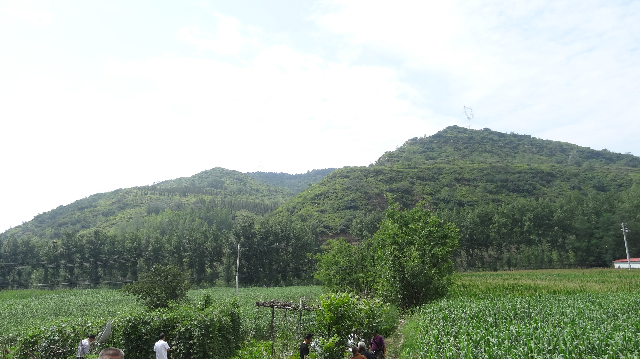 平定荆花蜜产地环境