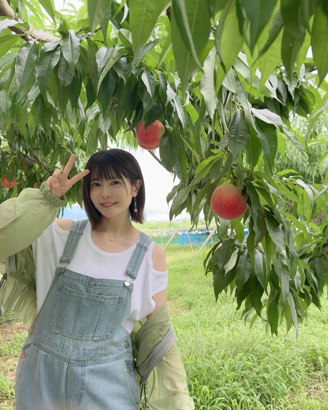 竹达彩奈的图片