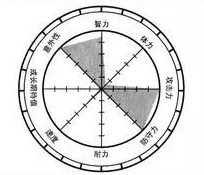 毕米老师给的能力0~10的评价